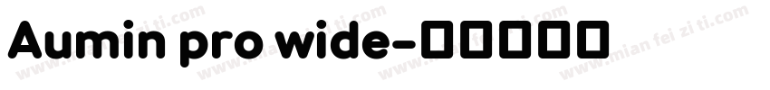 Aumin pro wide字体转换